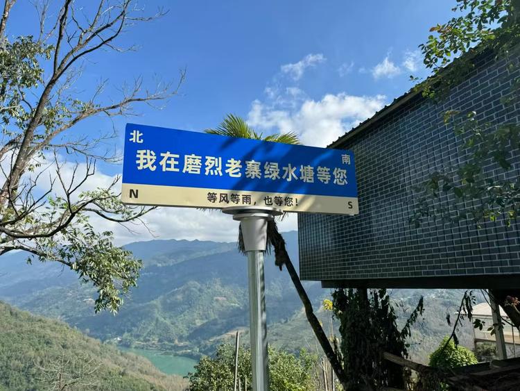 懂过磨烈拾叶普洱茗茶