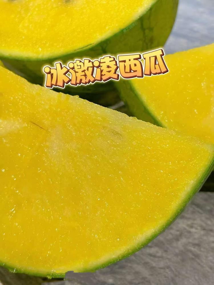 歆歆果蔬园