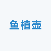 鱼植壶七彩神仙精品水族馆