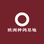 欧洲种鸽基地