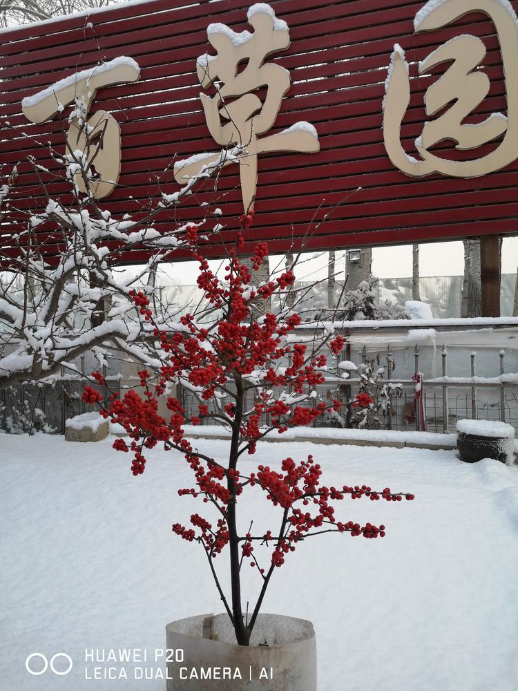 平度市百草园苗圃的小店