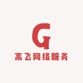 高飞网络服务