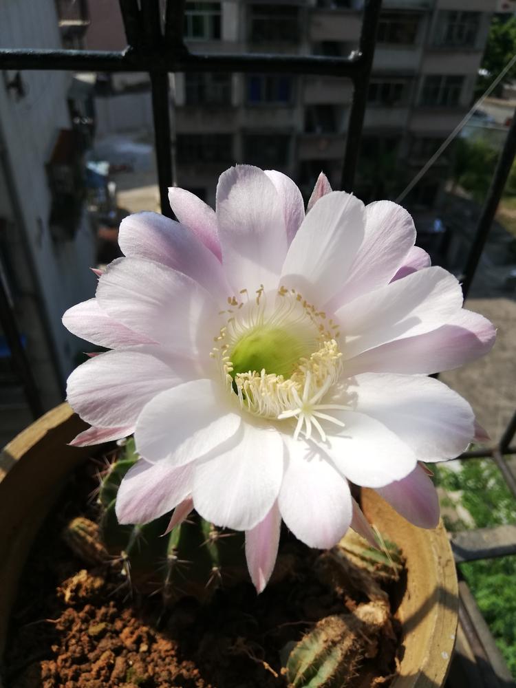 草之缘护肤企业店