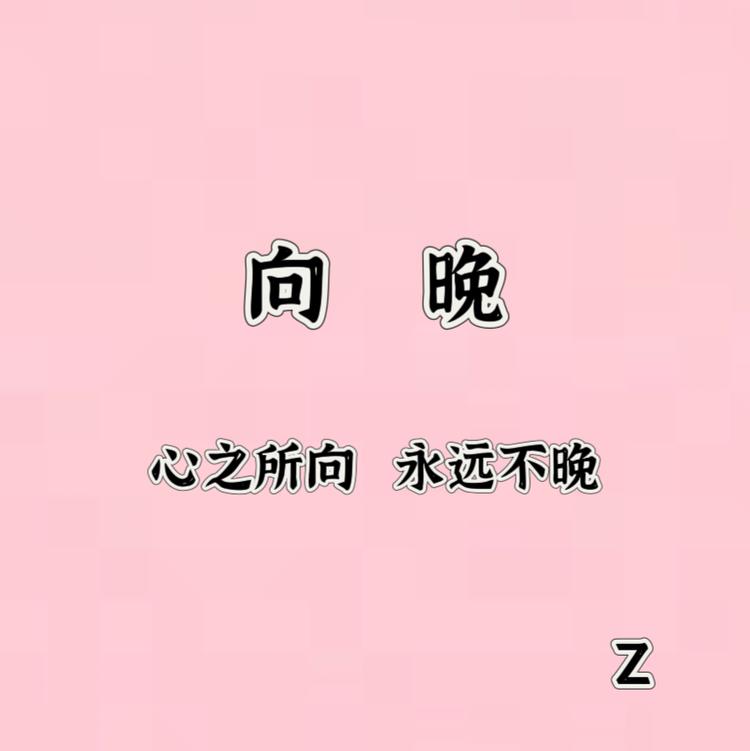 向晚女装小店