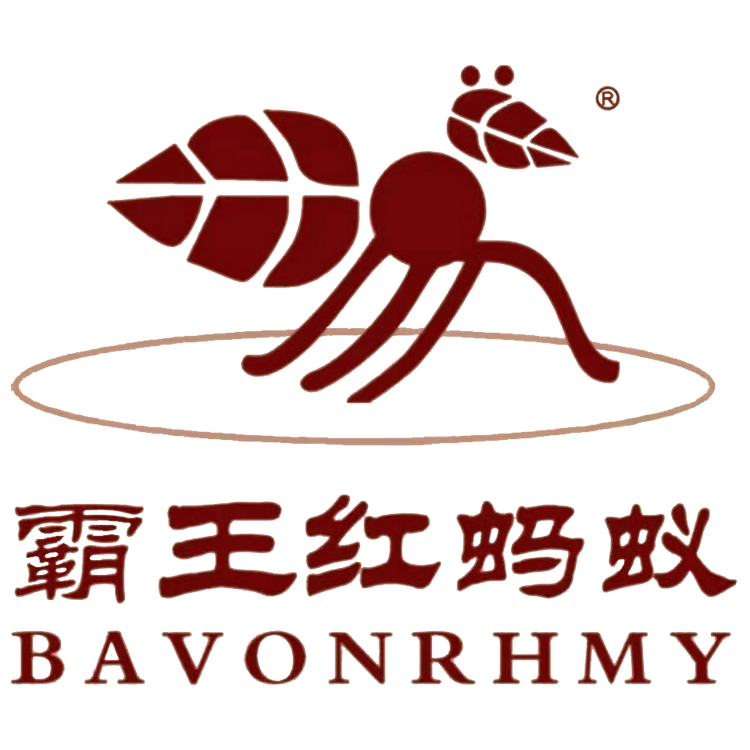 霸王红蚂蚁BAVONRHMY男鞋