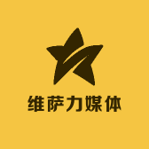 维萨力媒体