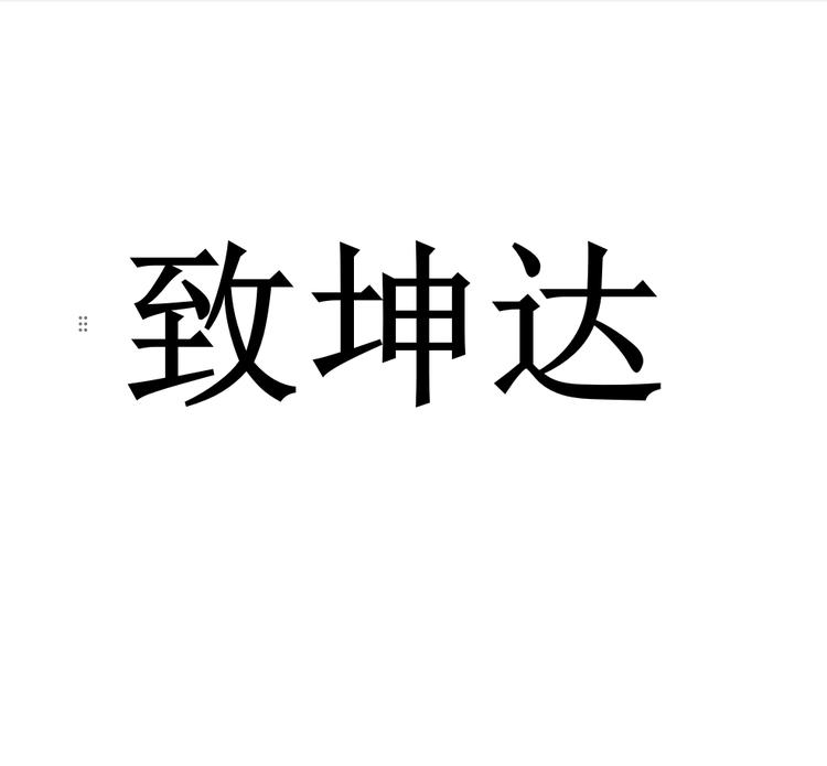 致坤达专营店