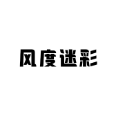 风度迷彩
