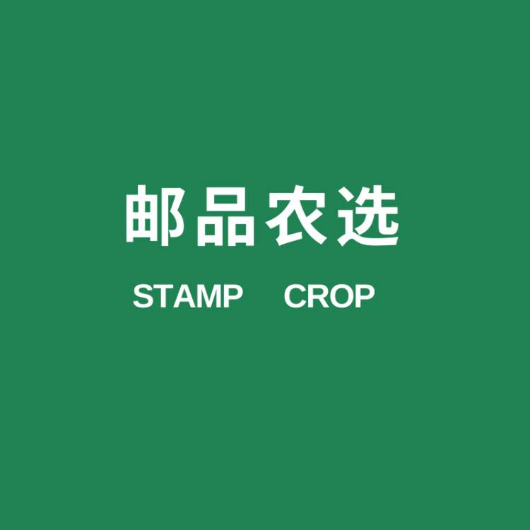 桔桔优品1