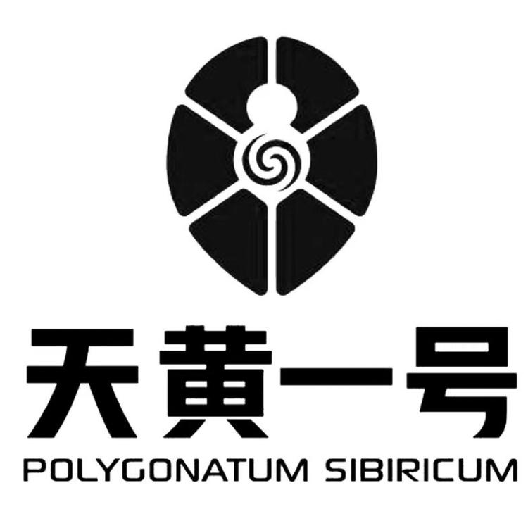 天黄一号