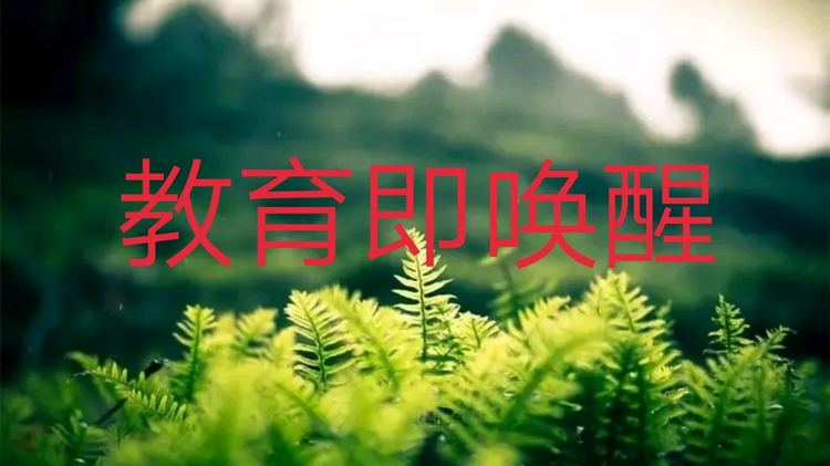大张老师同步课堂