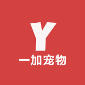 一加宠物鸡