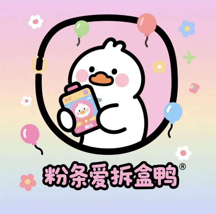 粉条爱拆盒鸭