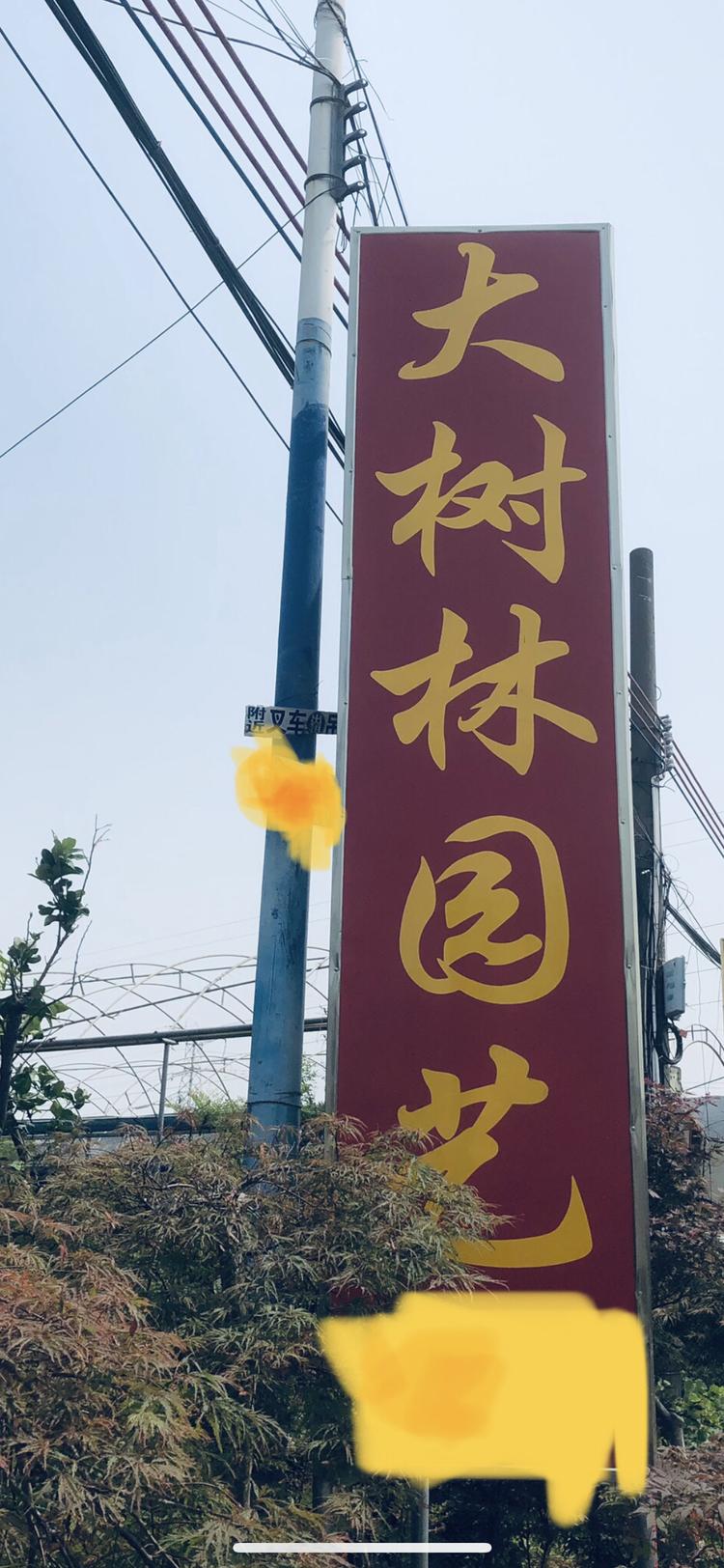 大树林园艺