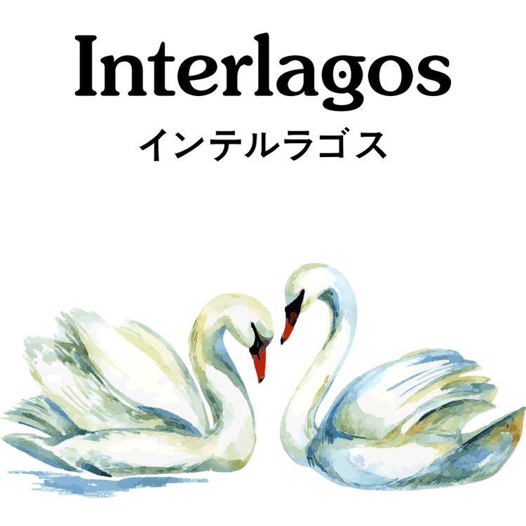 Interlagos佛山市棋昌电子商务有限公司专卖店