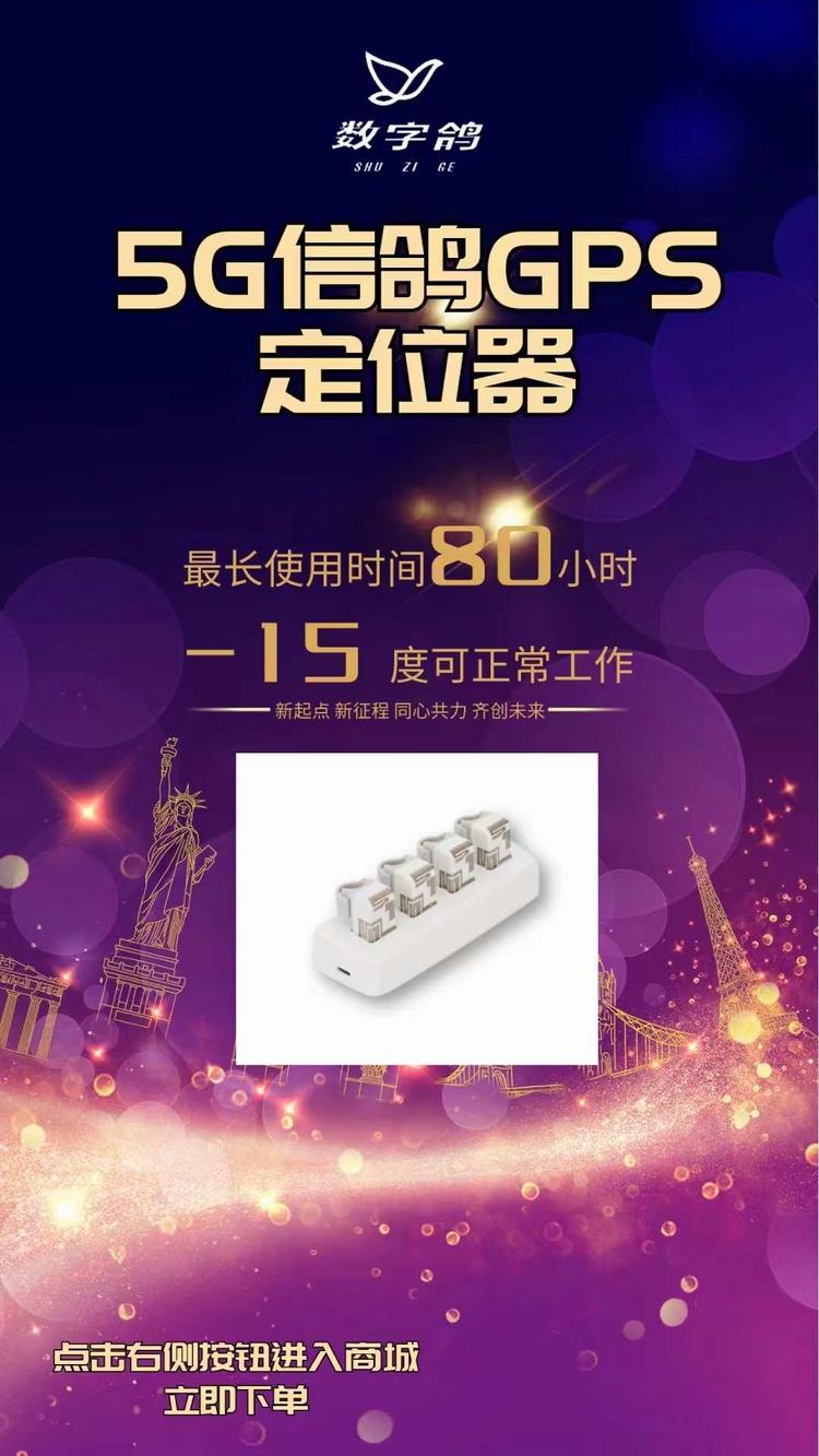 养鸽子的小工匠