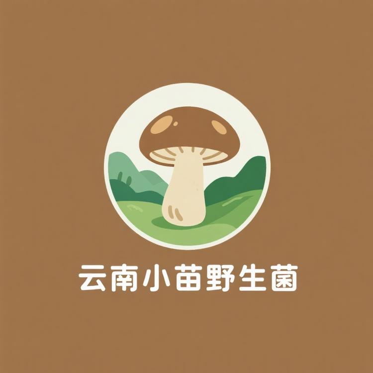 云南小苗野生菌