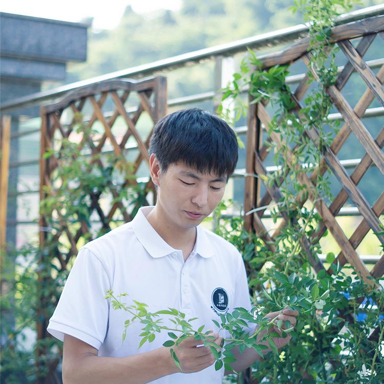小左的花园