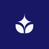 西双版纳枣苗供应