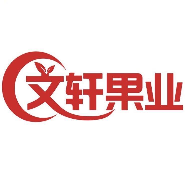 怀化文轩果业