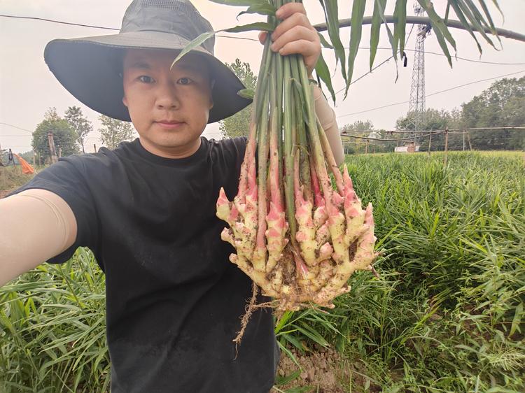 老钱农场