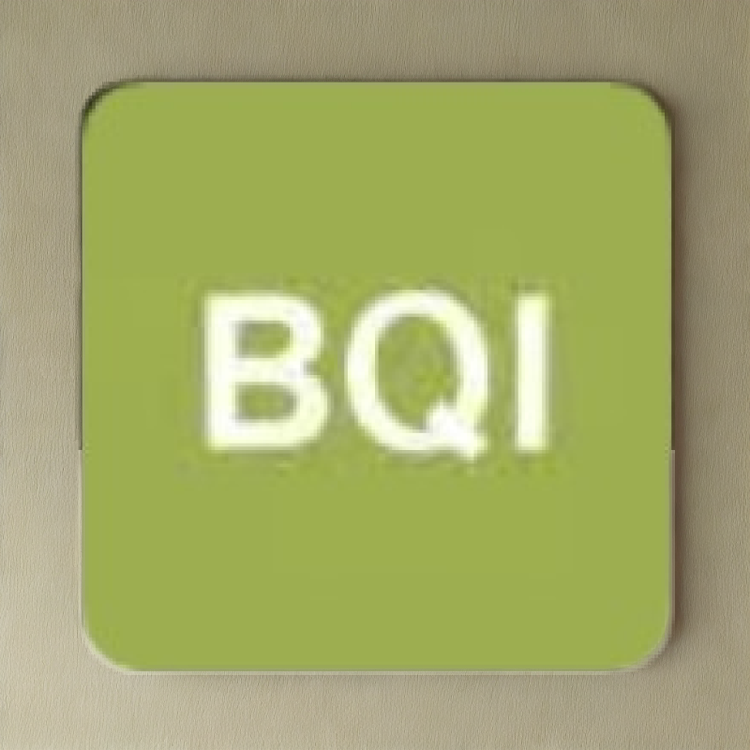 BQI假睫毛