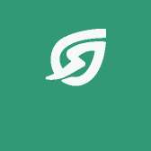 霜云的缅宁春茶业