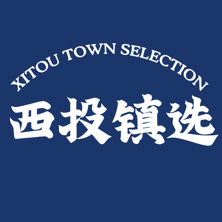 西投镇选