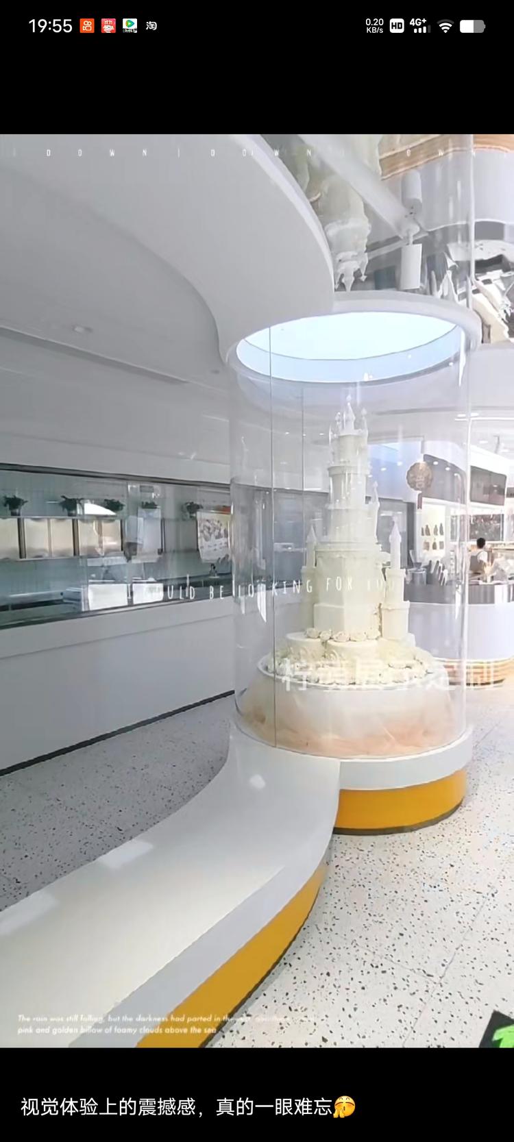 涡阳县冰冰的蛋糕店的小店个体店