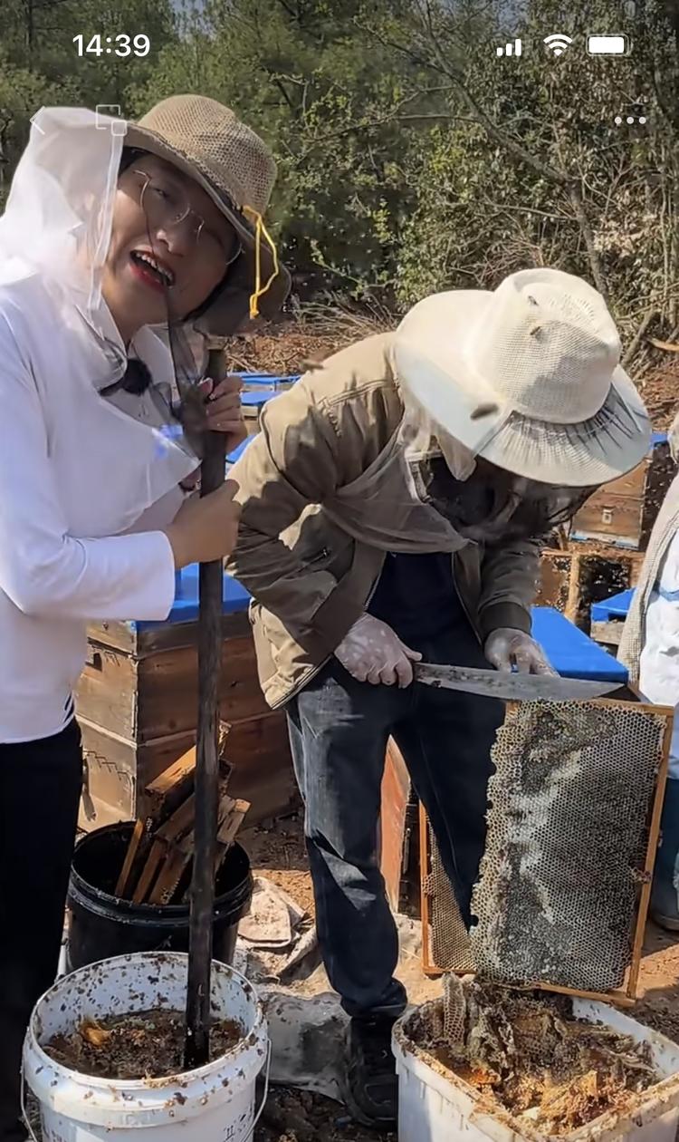 云南深山养蜂人