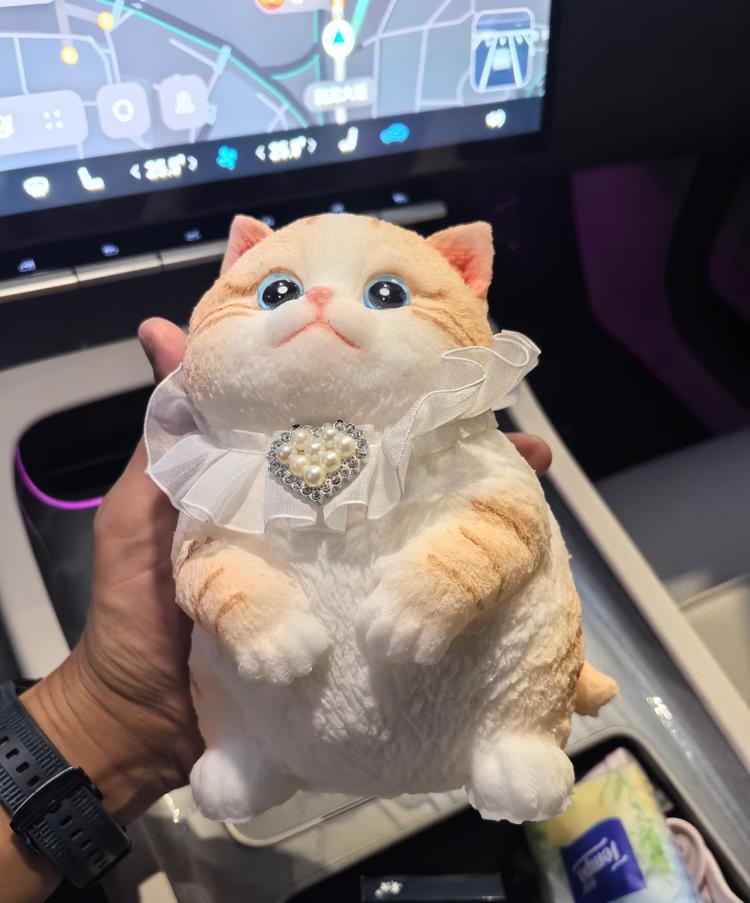 做手工的小蛮