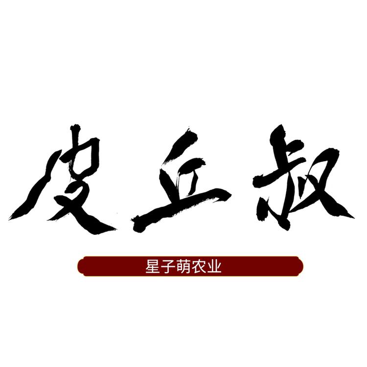 星子萌