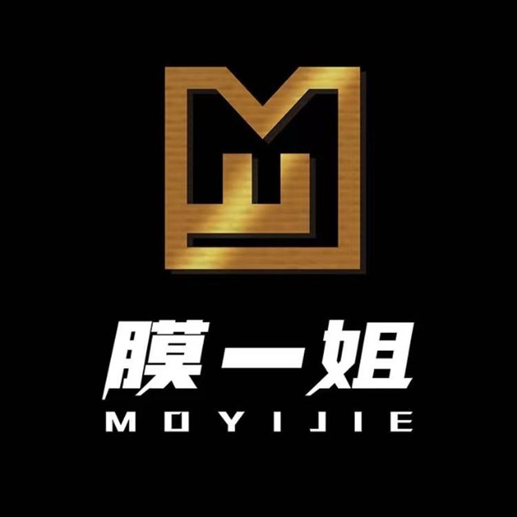 膜一姐汽车贴膜品牌店