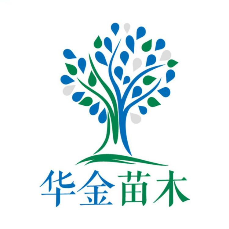凯果思华金苗木专卖店
