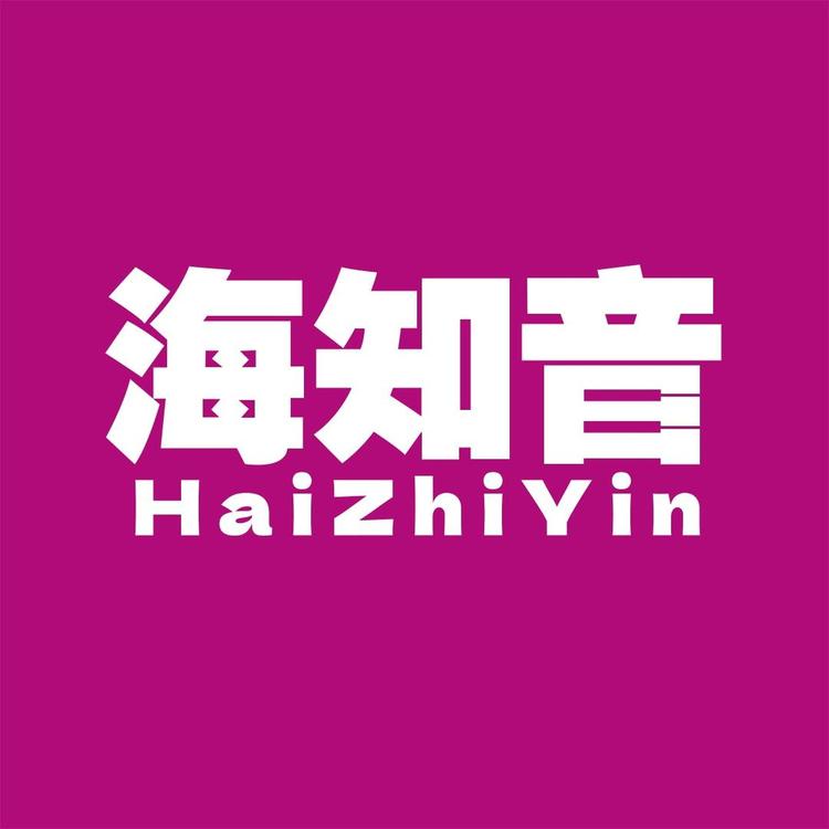 海知音弦墨乐器