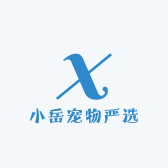 小岳边牧崽崽