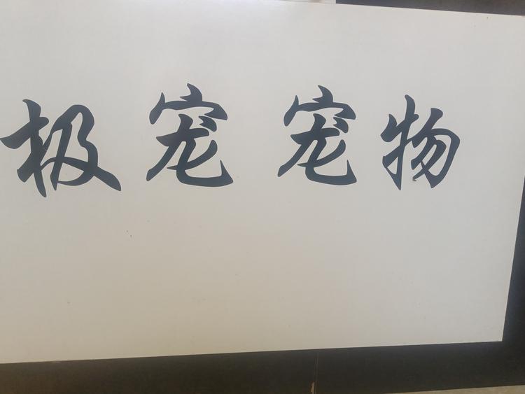 浏阳市荷花极宠宠物生活馆的小店个体店