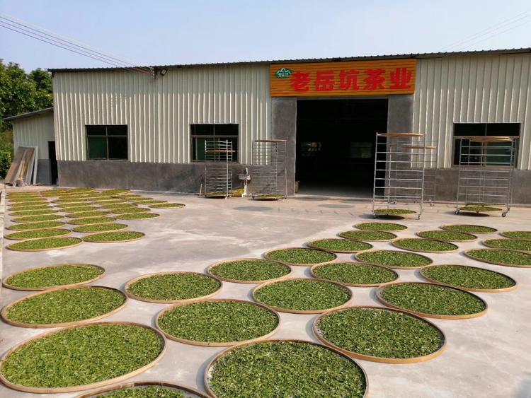 杨海英的小店个体店