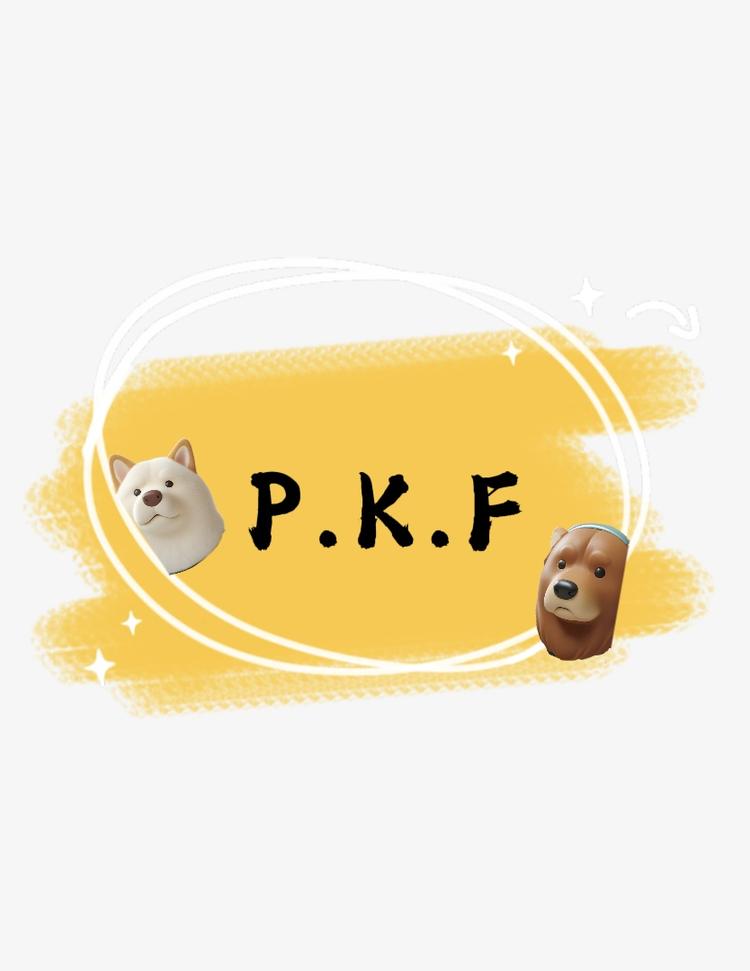 PKF杂货铺