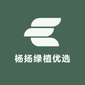 杨扬绿植优选
