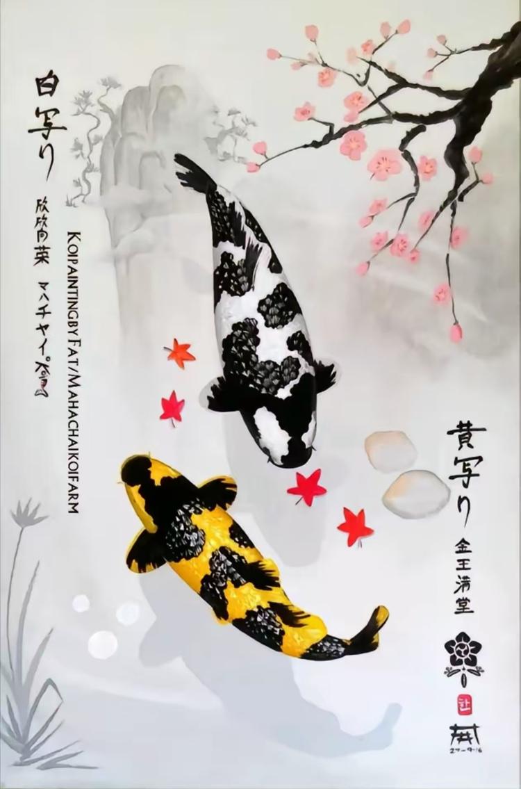 鸿泽锦鲤场
