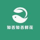 知否知否鲜花店