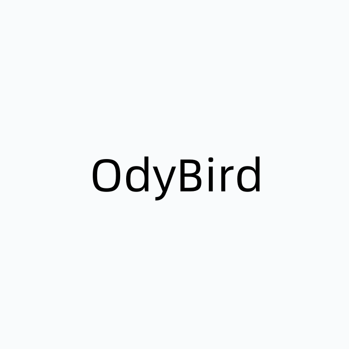 OdyBird布怡服饰专卖店