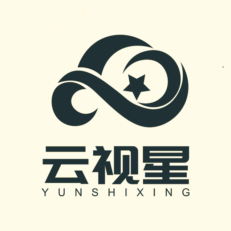 LOOSAFE云视星专卖店