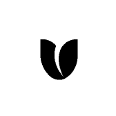 胖子Ai芯光科技小铺