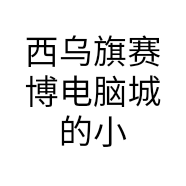西乌旗赛博电脑城的小店个体店
