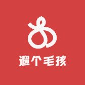 遛个毛孩