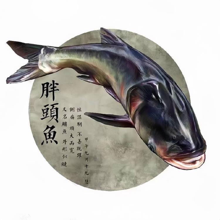 渔丰巨能肥之家