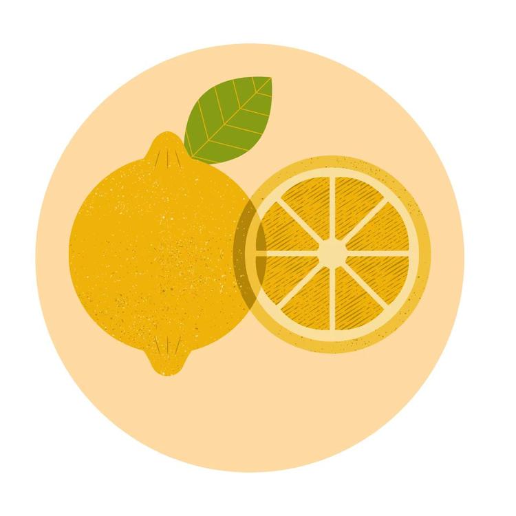 柠檬食品优选店