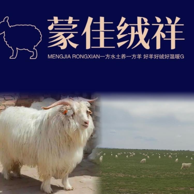 蒙佳绒祥